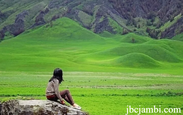 Wisata Bukit Teletubbies Bromo, Panorama Hijau Memikat