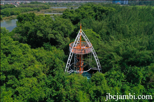 Wisata Alam Kebun Raya Mangrove Surabaya Terbaru